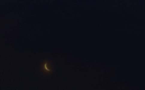 ����΢���ʺ��Ｏ��44��