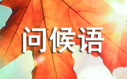 ÿ�����Ϻþ����ʺ���