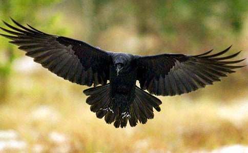 ����ѻ��ˮ���̰�15ƪ�����䡿