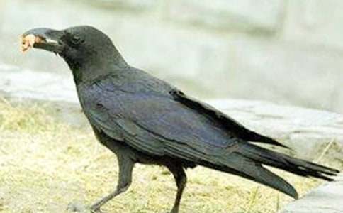 ����ѻ��ˮ��˵�θ�15ƪ(�ر�)