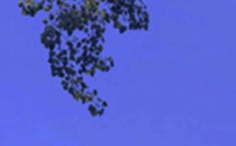 2026���������簲�ʺ������90��