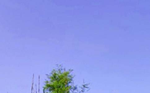 ���õ��簲�ʺ���29��