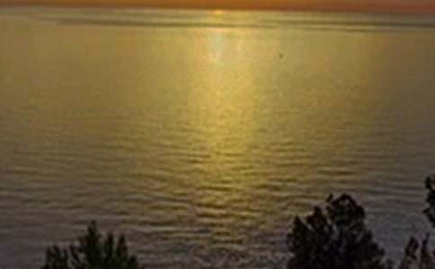 �簲�ʺ�������79��