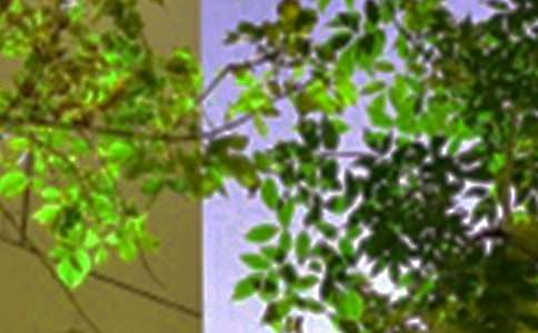 经典个性午安祝福语(通用40句)