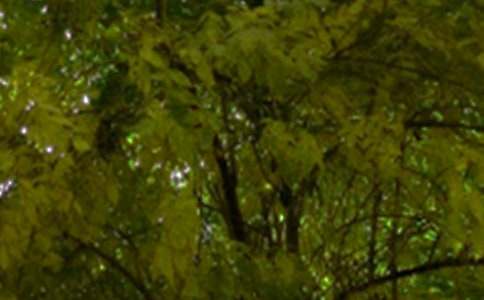 2024����ܰ���簲�ʺ�����Ŵ�ϼ�71��