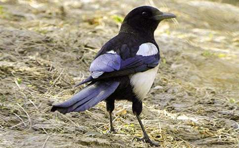 ������ϲȵ����ѧ��˼