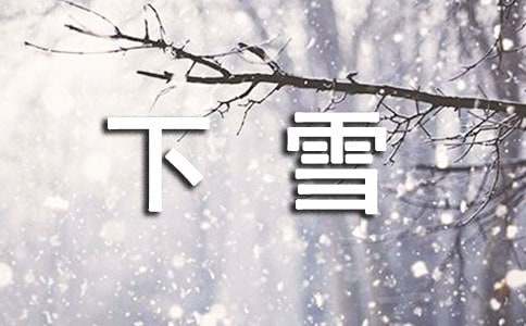下雪了小学作文(精选15篇)