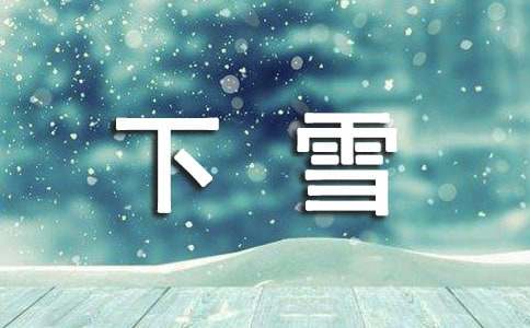 小学下雪了作文600字10篇