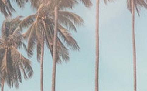 �ļ����������ʵ��