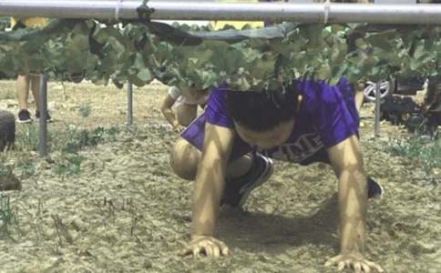 暑期夏令营活动总结