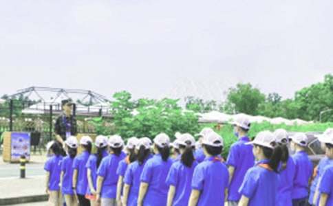 大学夏令营感受心得体会(精选8篇)