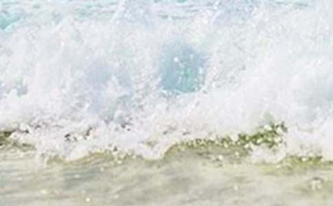 ���������Сѧ����300��4ƪ