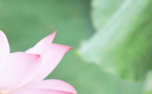 夏至未至读后感