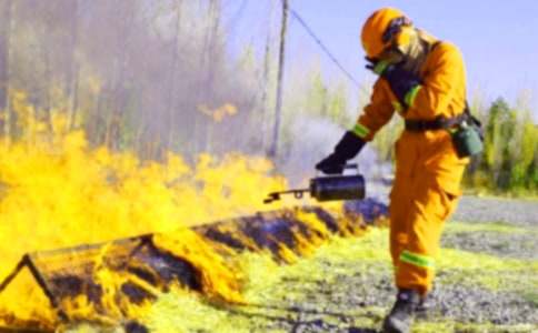 消防安全观后感