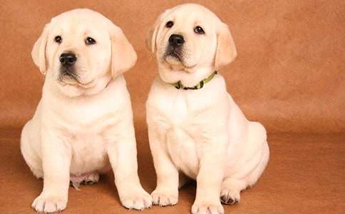 �ɰ���С����������ͨ��12ƪ