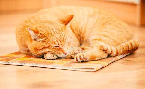 Сè�Ļ�������8ƪ