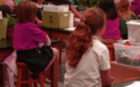 小学生导游词(通用15篇)