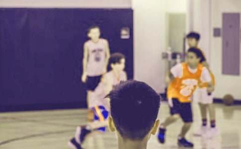 ��������Сѧ����������������ƪ