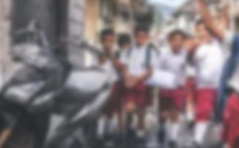 д��Сѧ������