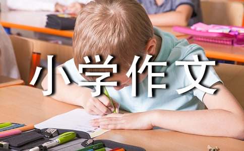 (集合)实用的小学作文300字