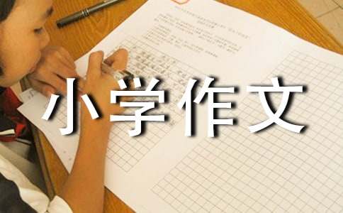 【精选】回忆小学作文600字3篇