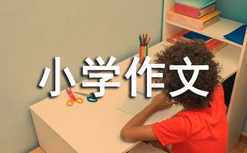 老鹰捉小鸡小学作文合集15篇