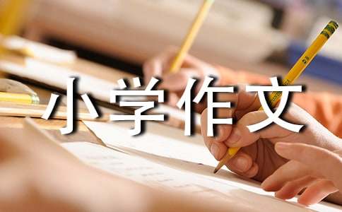 我的乐园小学作文精选15篇