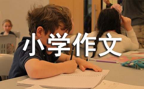 ʵ�õ�Сѧ����300��4ƪ[��Ʒ]