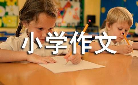 (精)小学作文300字