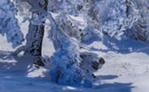 Сѩ��ƮƮ�аཡ���̰�