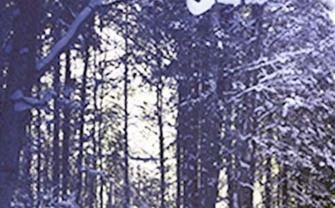 ��ʮ�Ľ���Сѩ�������̰���ͨ��10ƪ��