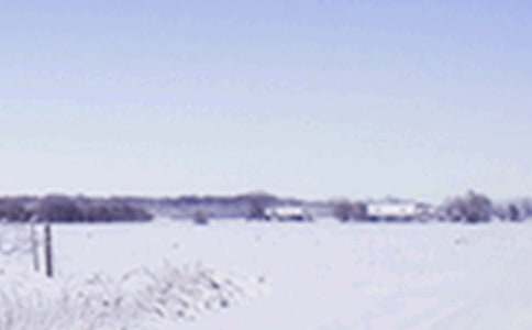 �а�����̰���Сѩ����