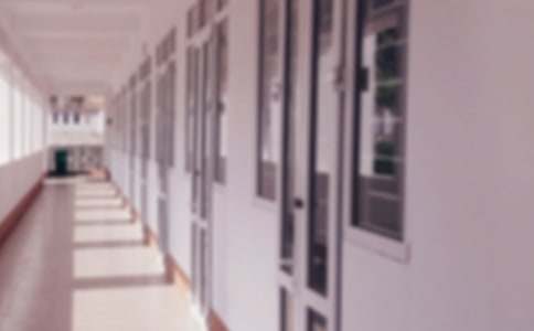 ѧУ��ҵ�������ܽ�