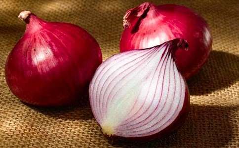 读《洋葱头历险记》有感(精选29篇)