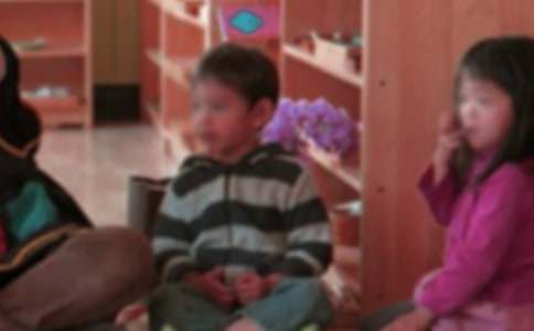 �׶�԰��С�νӹ����ƻ�����(15ƪ)