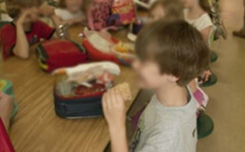 �����׶�԰�������ƻ����ĺϼ�4ƪ