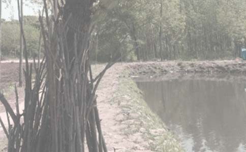 �����������а���ͬ