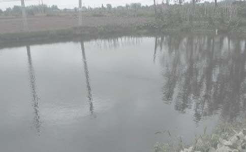 �����а���ͬ������