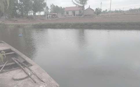 鱼塘承包合同(精选)