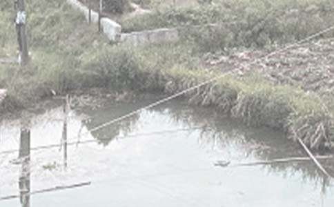 ��ʵ�á������а���ͬ��ƪ