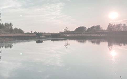 �����а���ͬ(15ƪ)