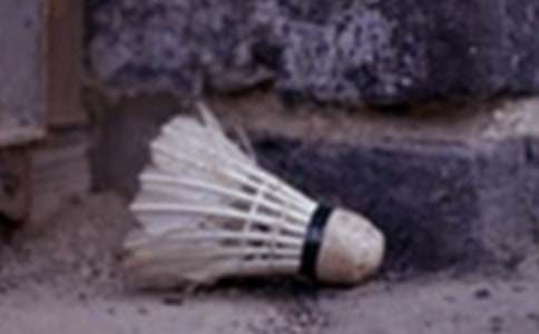 羽毛球协会工作总结