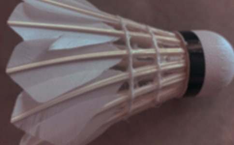 ��ë������Ļ�ܽ�