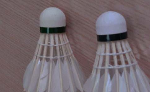 ��ë������߻���(15ƪ)