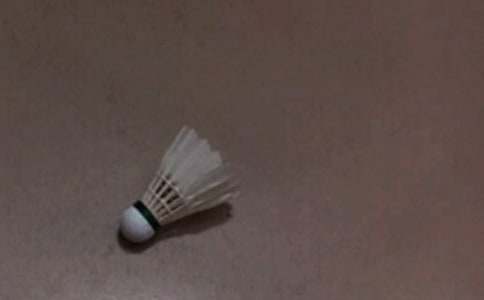 ��ë����������(����15ƪ)