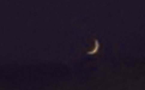 《月亮与六便士》读后感(15篇)