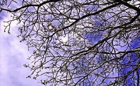 温暖的早安朋友圈问候语