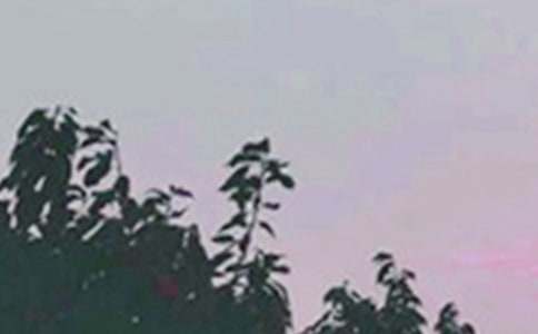 2021��ͨ�����õ��簲�ʺ�����¼����50��