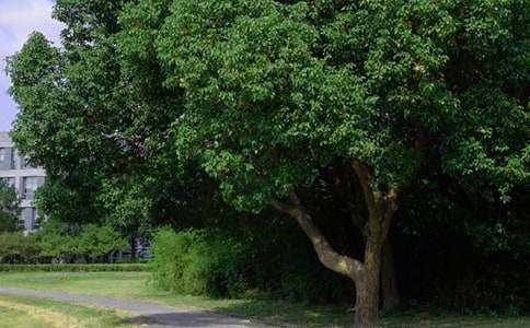 �򵥵��簲�ʺ�����¼ժ¼58��