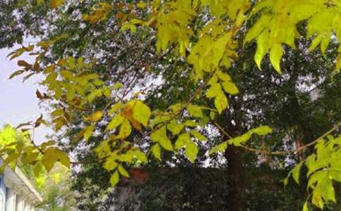 【推荐】2021年动人的早安问候语语录30句